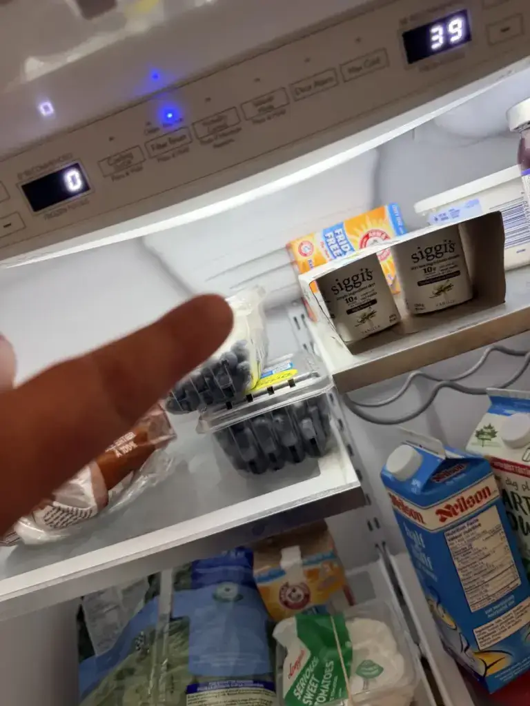 Technician pointing at blueberries on a refrigerator shelf with a thermometer reading 39&deg;F, confirming the fridge is cooling correctly