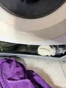 Washer drain pump and hose at the base of the outer tub - Appliance Forever appliance repair in Alliston, Ontario.